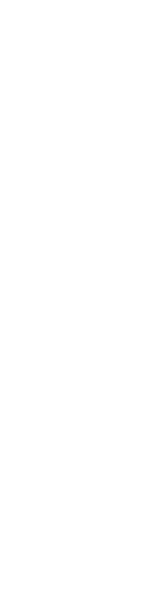 謹製飛騨牛すじ煮込み